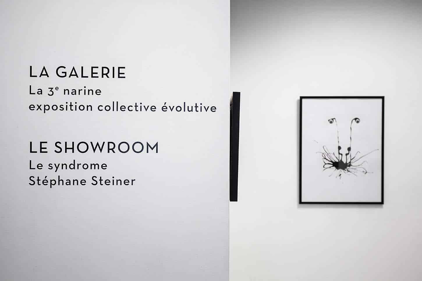 Vue de l'exposition: Le Syndrome, par Stéphane Steiner.