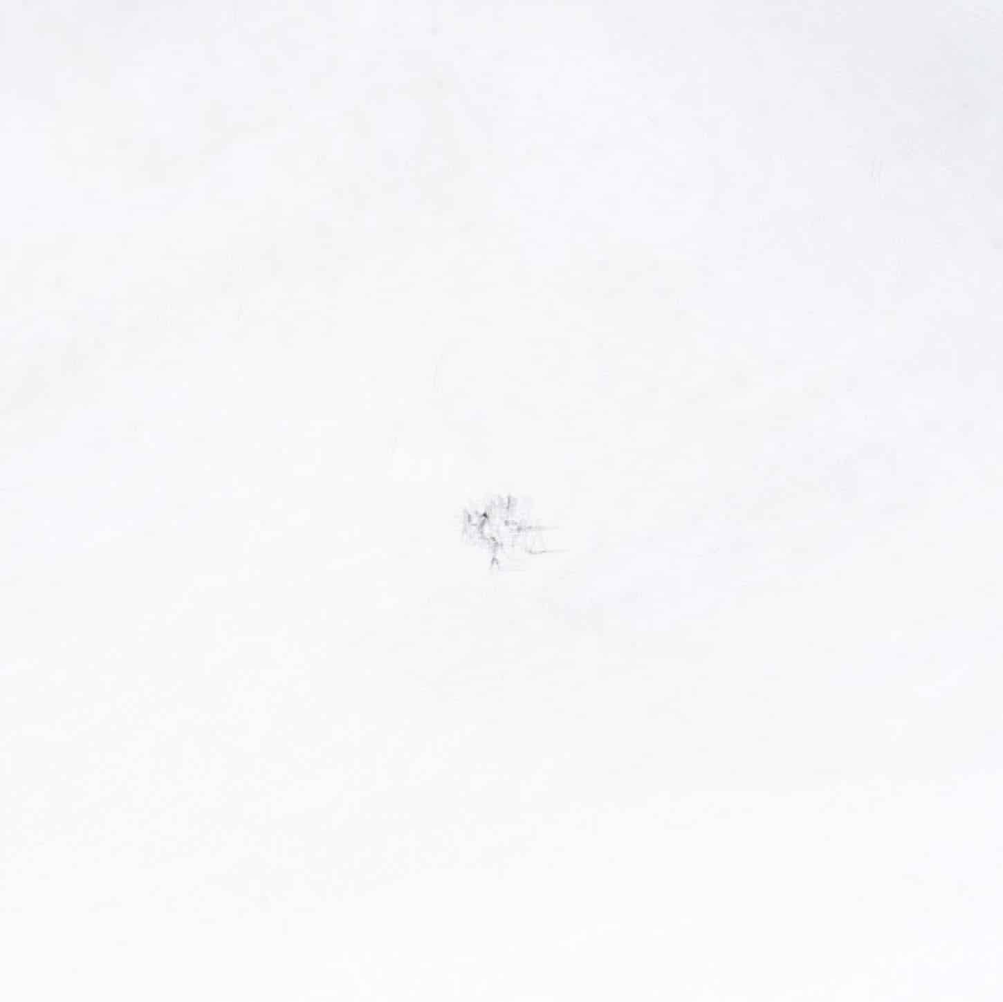 Eric Bourret, Carnet de marche - France, Oisans 2014, tirage jet d’encre baryté 30 x 30 cm, signé - numéroté 1/5