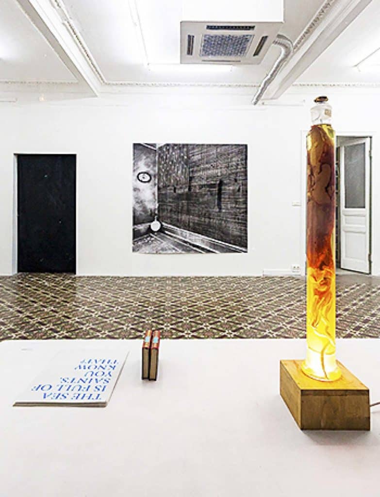 En premier plan :
Maxime Bondu, Loligo Vulgaris, flacon en verre, formol, calmar, 90 cm x 15 cm x 15 cm, 2014

En second plan : Maxime Duveau
 