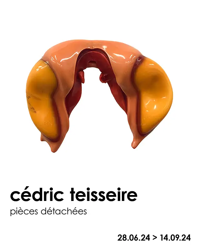 Cedric Teisseire