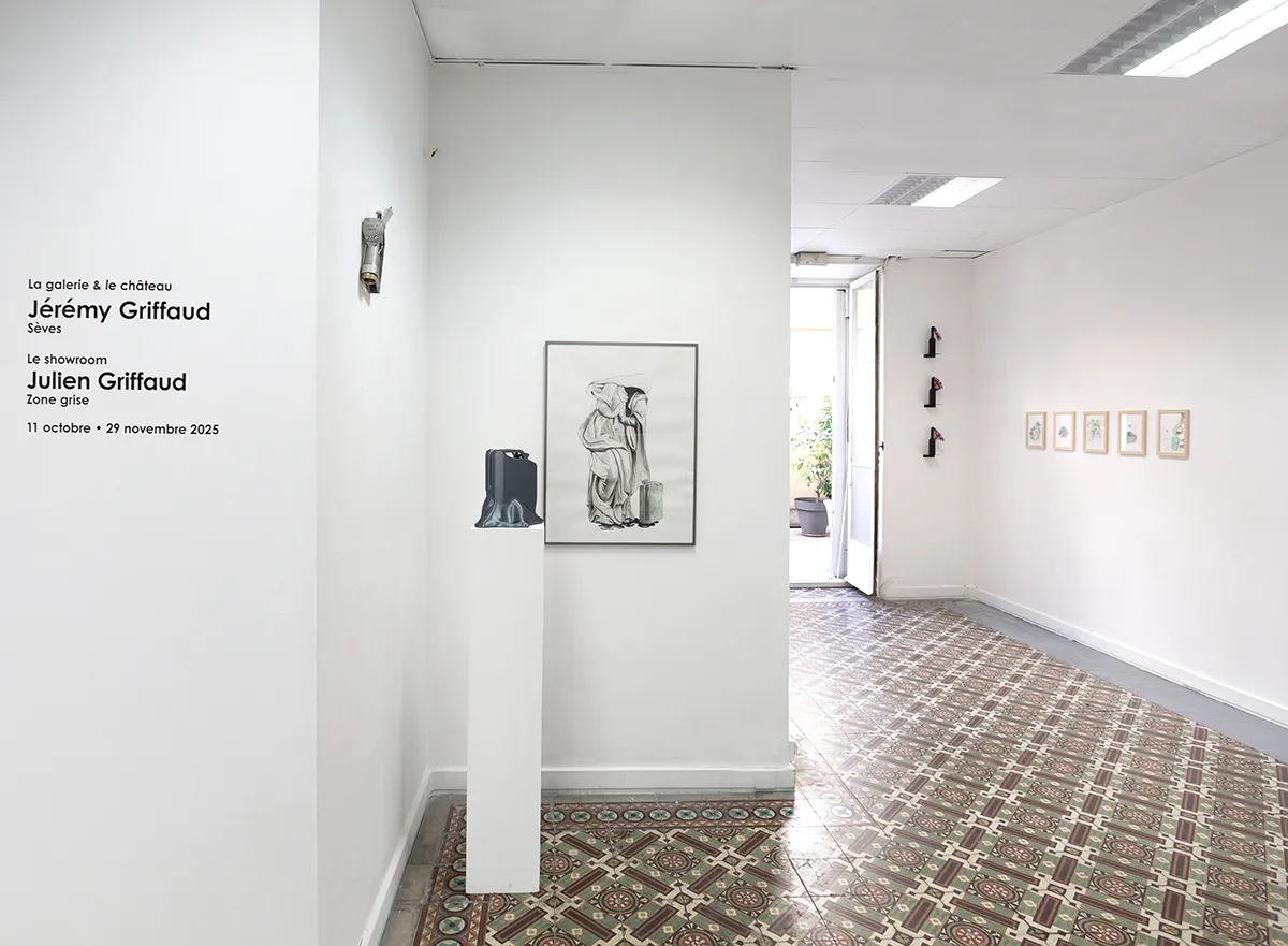Julien_griffaud_expo_Zone_grise_2025_espace-avendre