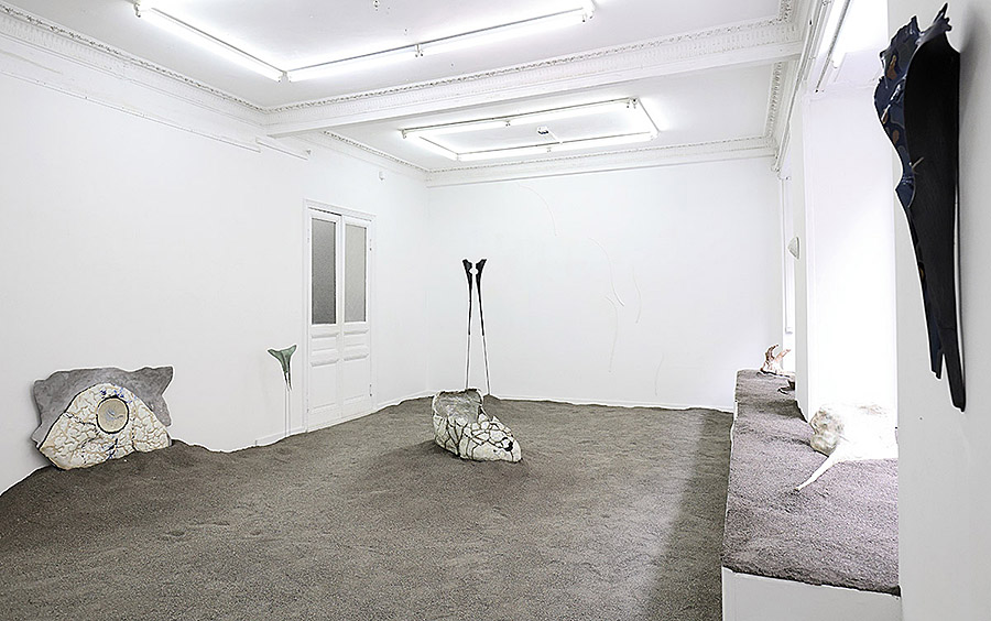 Vue de l'exposition de Suska Bastian et Anna Tomaszewski, Espace à vendre, Nice