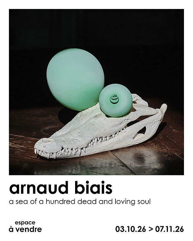 Arnaud Biais